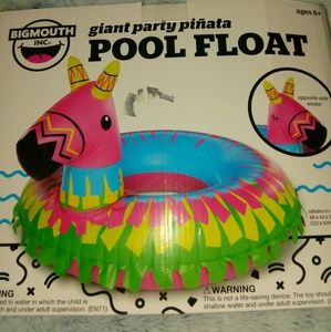 pinata pool float